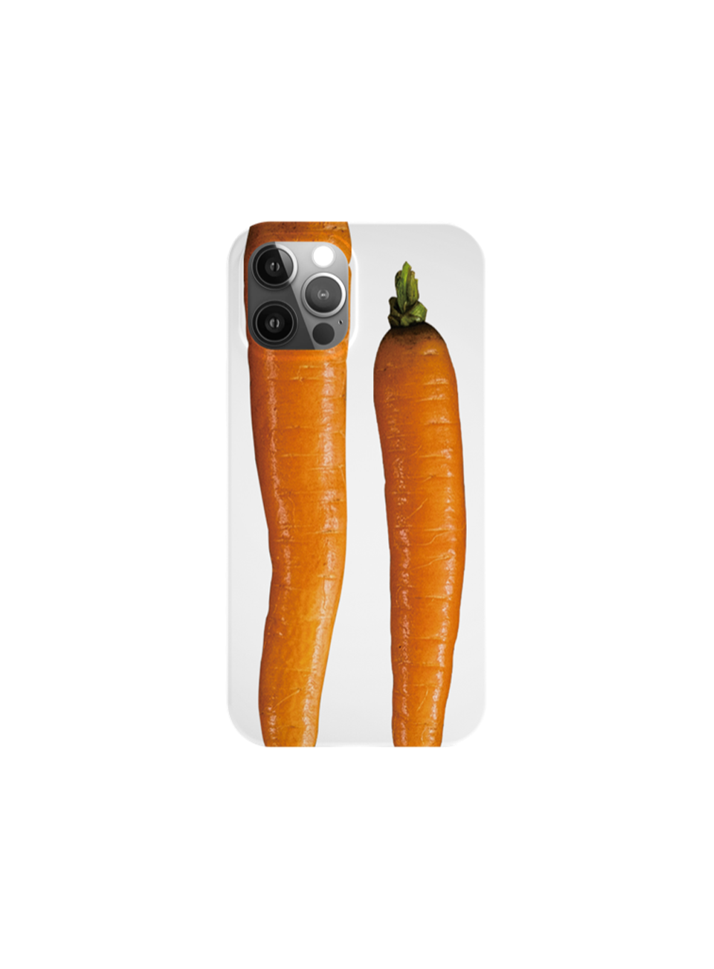 Carrot case (hard)