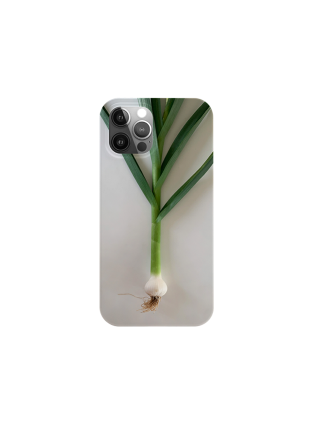Garlic case (hard)