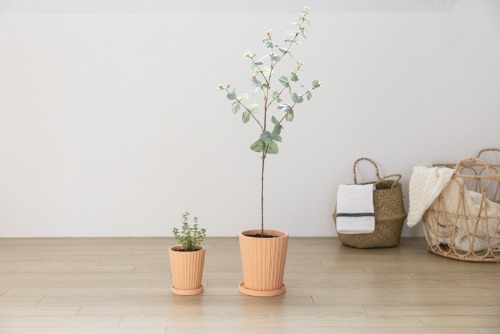 Terracotta Flowerpot Vertical Line