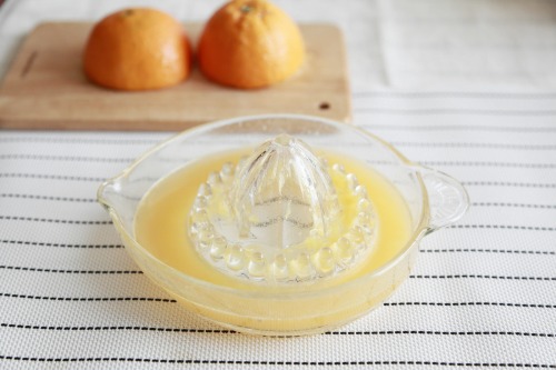 Glass Lemon Juice Squeezer