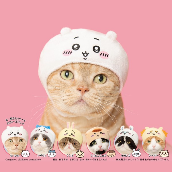 치이카와 먼작귀 가챠 귀여운 고양이 모자샐러드마켓