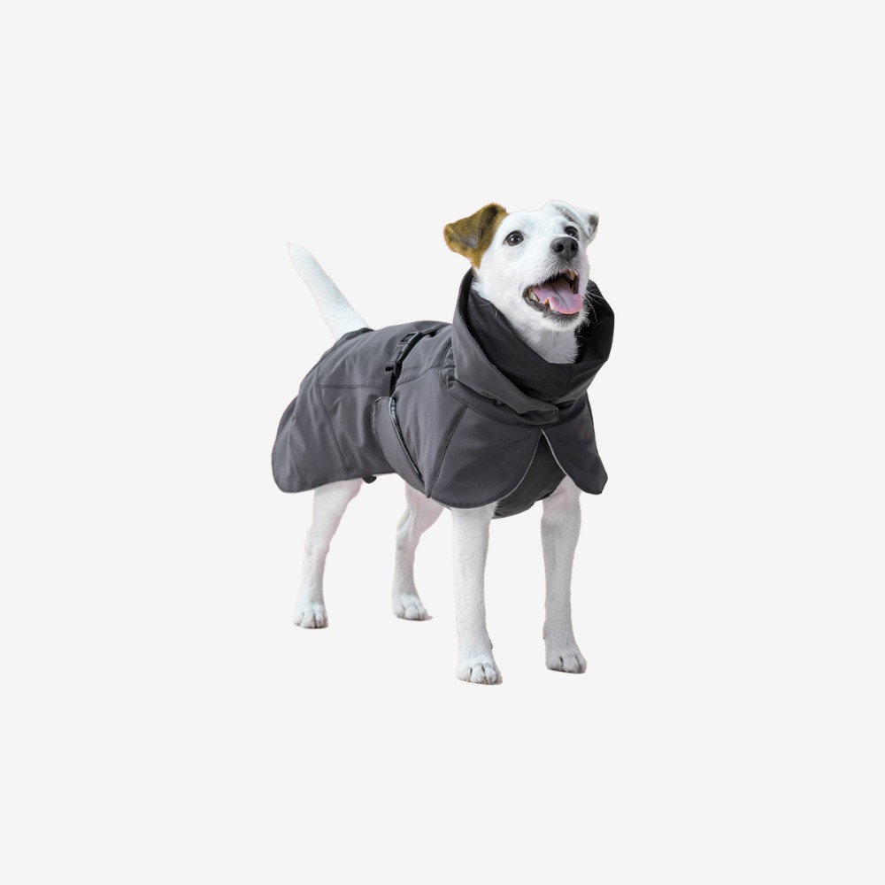 파이카 Visibility Winter Jacket Dar for Dogs