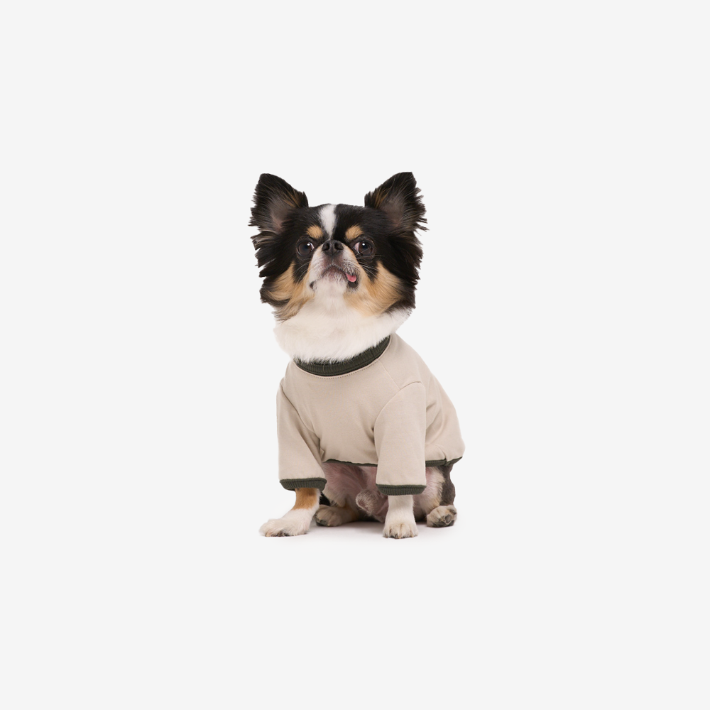 샌디고 City Dog Comfort T-shirt (Oatmeal)
