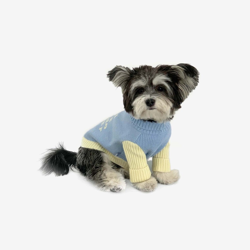 페블스 Wool-cashmere sweater for humanwalkers(Blue sorbet)