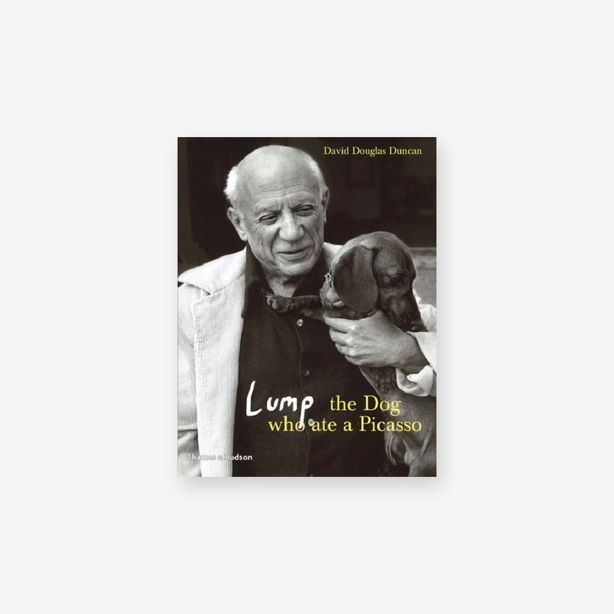 Lump: The Dog who ate a Picasso