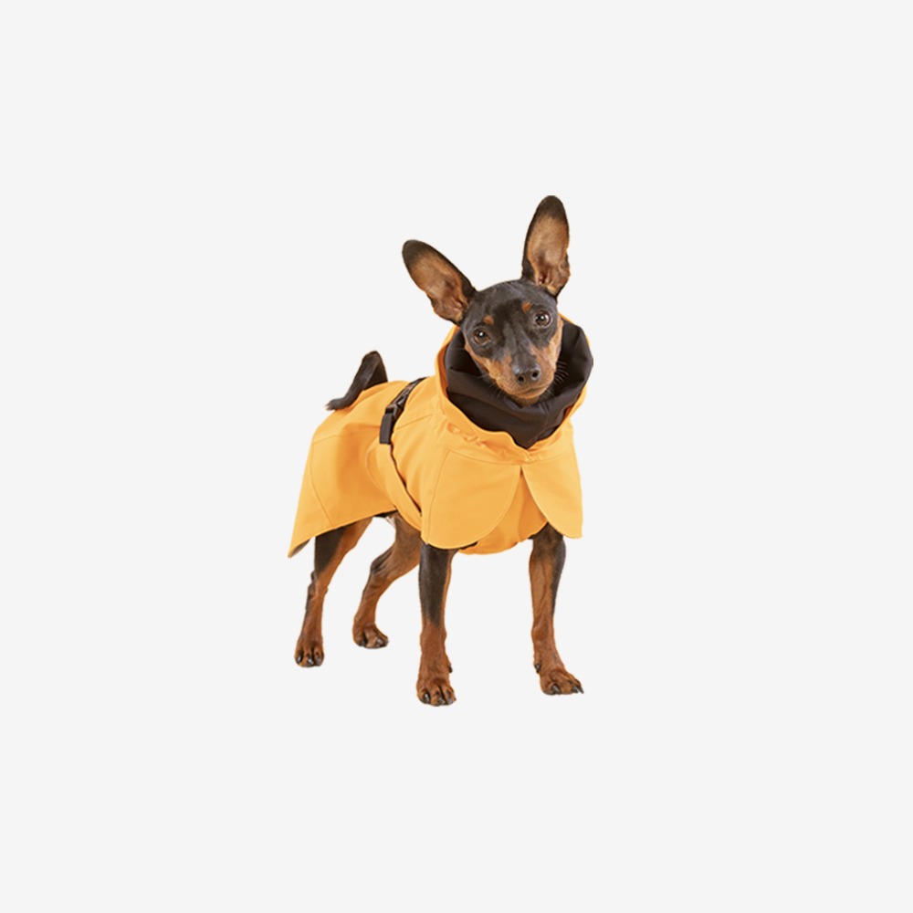 파이카 Recovery Raincoat Orange for Dogs