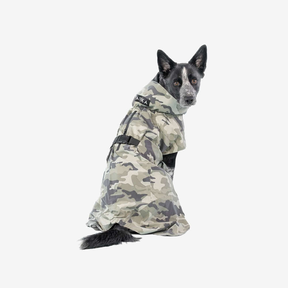 파이카 Recovery Raincoat Camo for Dogs
