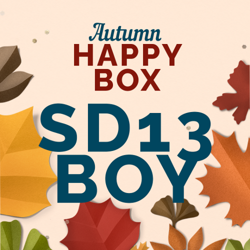 HAPPY BOX  [ SD13 BOY ]