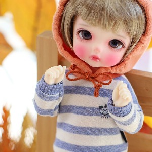 Little coloration Hooded-Blue