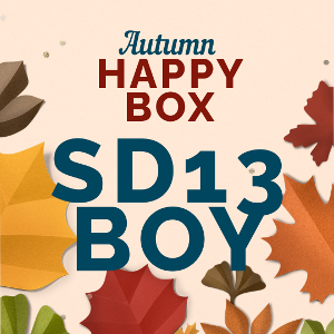 HAPPY BOX  [ SD13 BOY ]