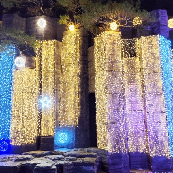 500구 LED장식 녹색선 웜색 나무 정원 50M 점멸유