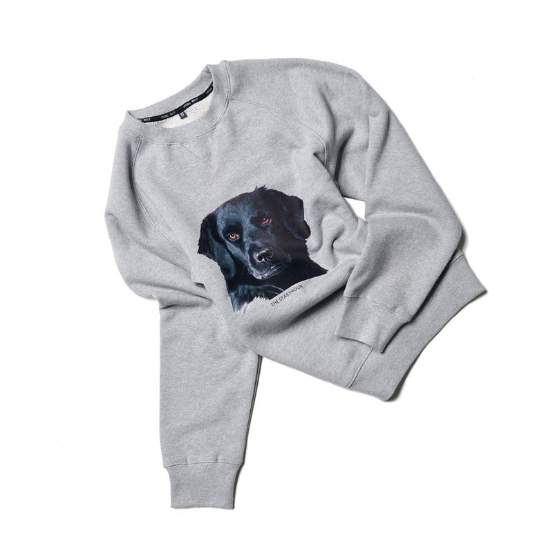 DOG sweatshirts(Stabyhoun, Gray)
