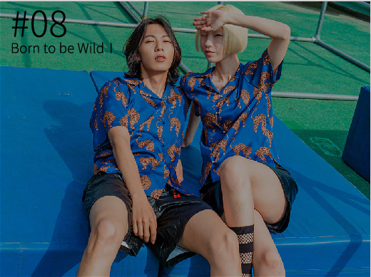 #08 Born to be Wild Ⅰ