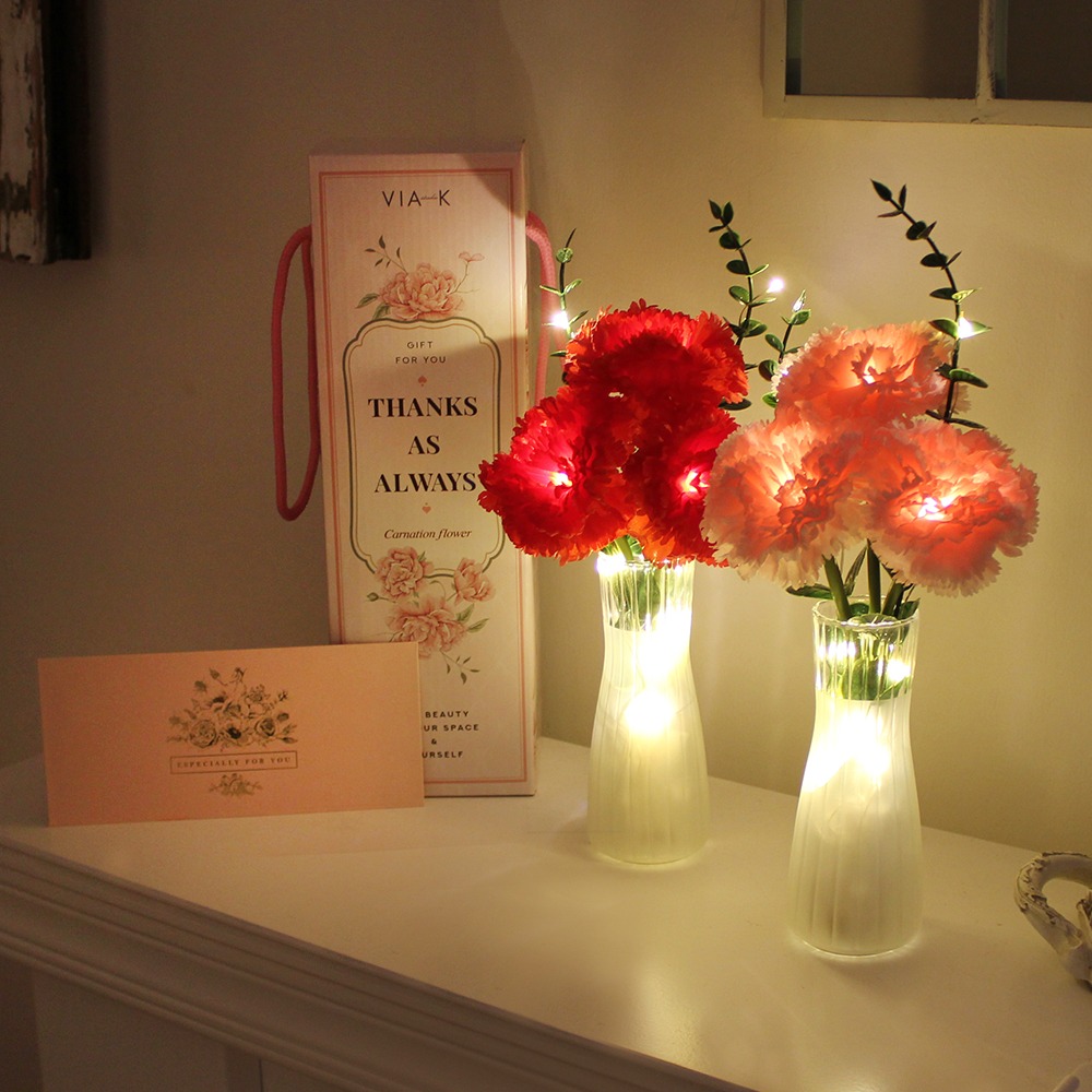 디어 블라썸 카네이션 LED 무드등 [+용돈봉투증정] - Dear blossom carnation LED lights