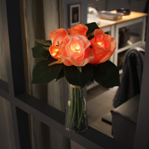 뷰티 로즈 부케 LED 무드등 - beauty rose bouquet LED