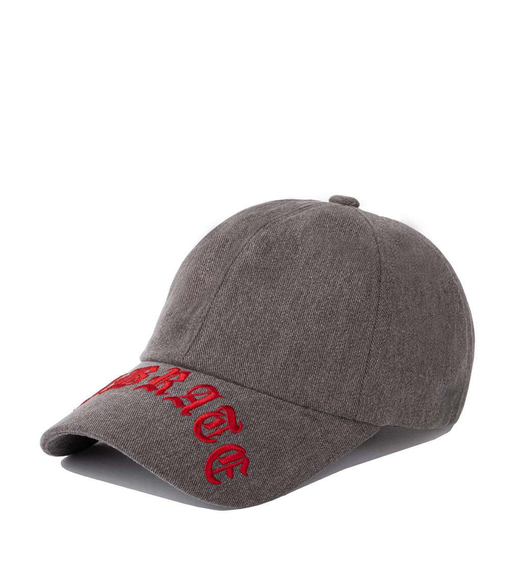 BLACK LINE- EYEBROWS OF A WOLF BALL CAP (GRAY)