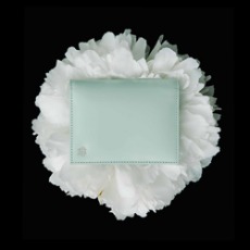 Lim Card wallet jade - 베리사