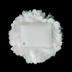 Lim Card wallet white jade - 베리사