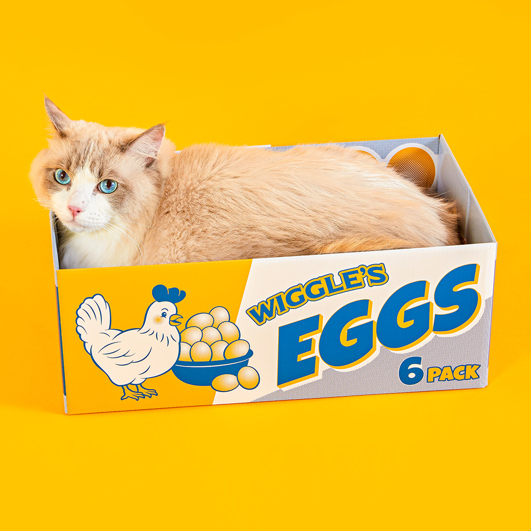 캣 스크래처 박스 - Egg