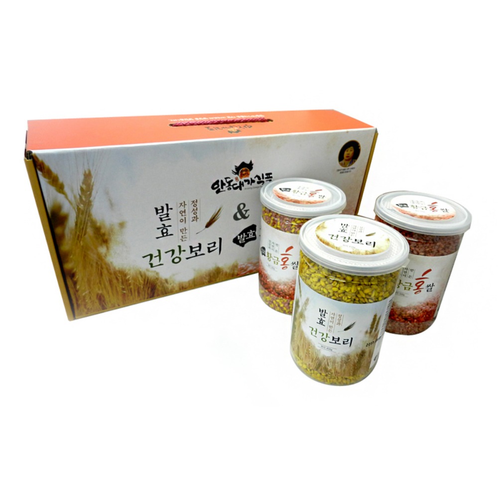 우리홈 발효건강보리(품절)&amp;황금홍쌀 3종세트