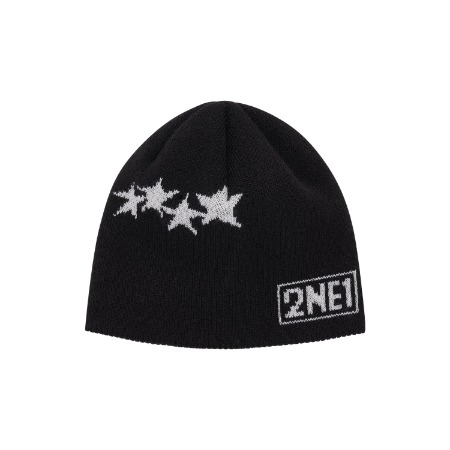 2NE1 - YG SELECT