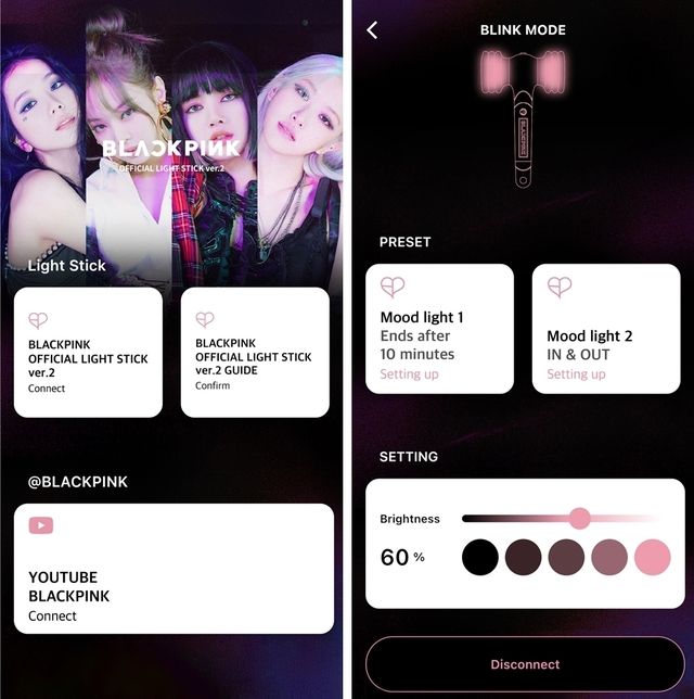 BLACKPINK OFFICIAL LIGHT STICK Ver.2 - YG SELECT
