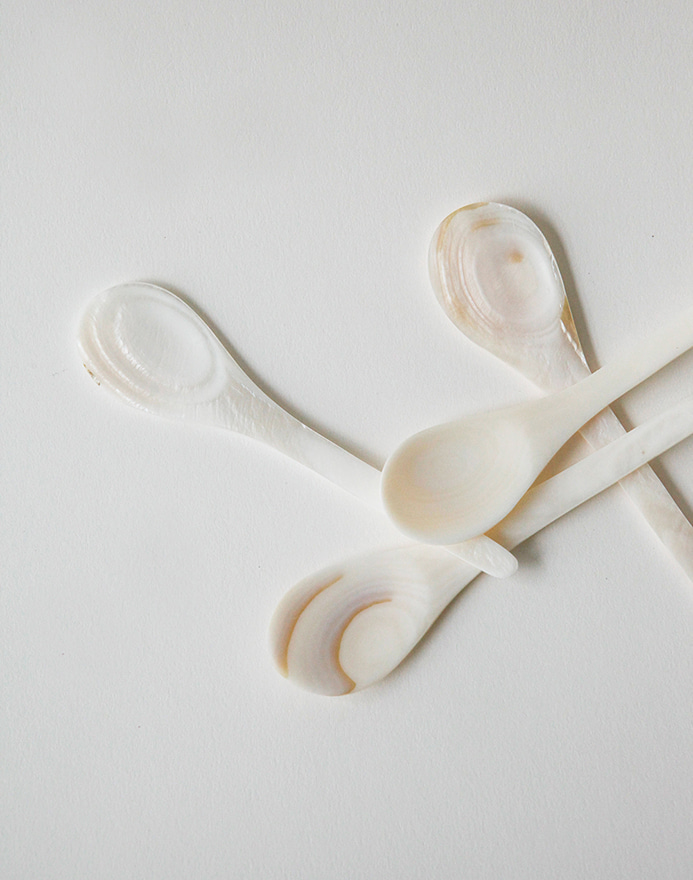 Shell Sugar Spoon · White