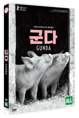 Gunda (2020) DVD / Victor Kossakovsky / Region 3