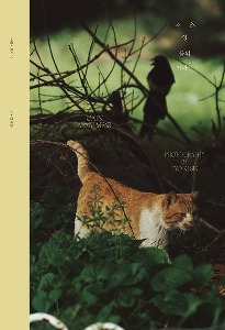 Cats’ Apartment: A Pyo Ki Sik Photobook (Korean) by Plain Archive
