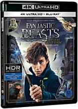 Fantastic Beasts and Where to Find Them - 4K UHD + BLU-RAY